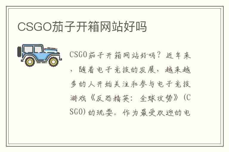 CSGO茄子开箱网站好吗(csgo茄子的开箱网站)